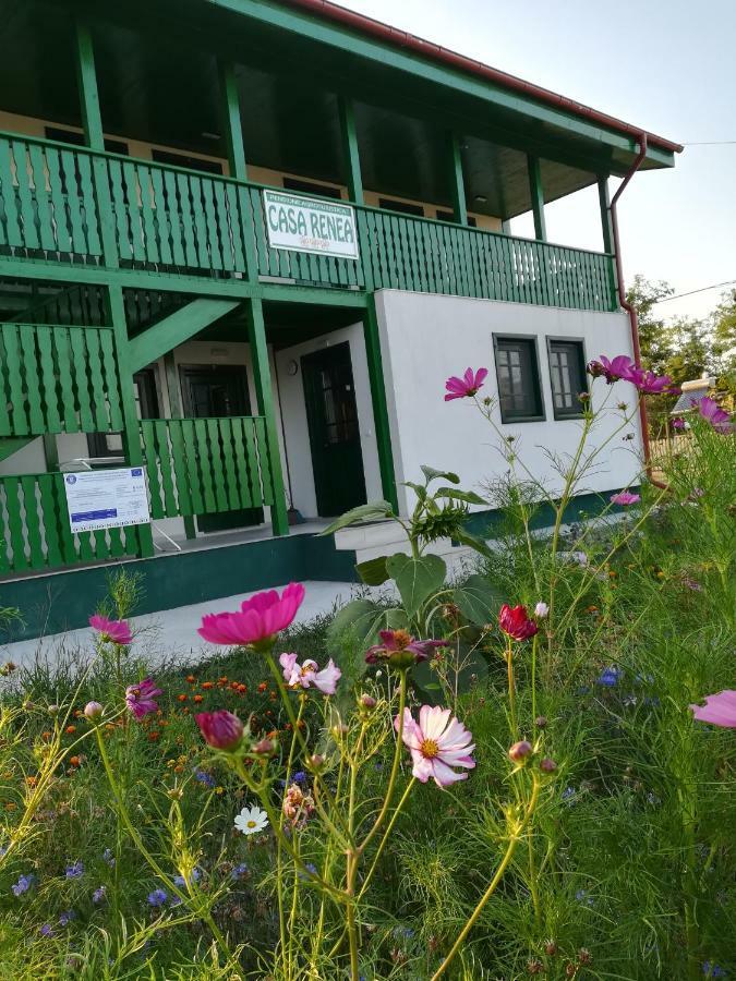 Casa Renea 호텔 스픈투 게오르게 외부 사진